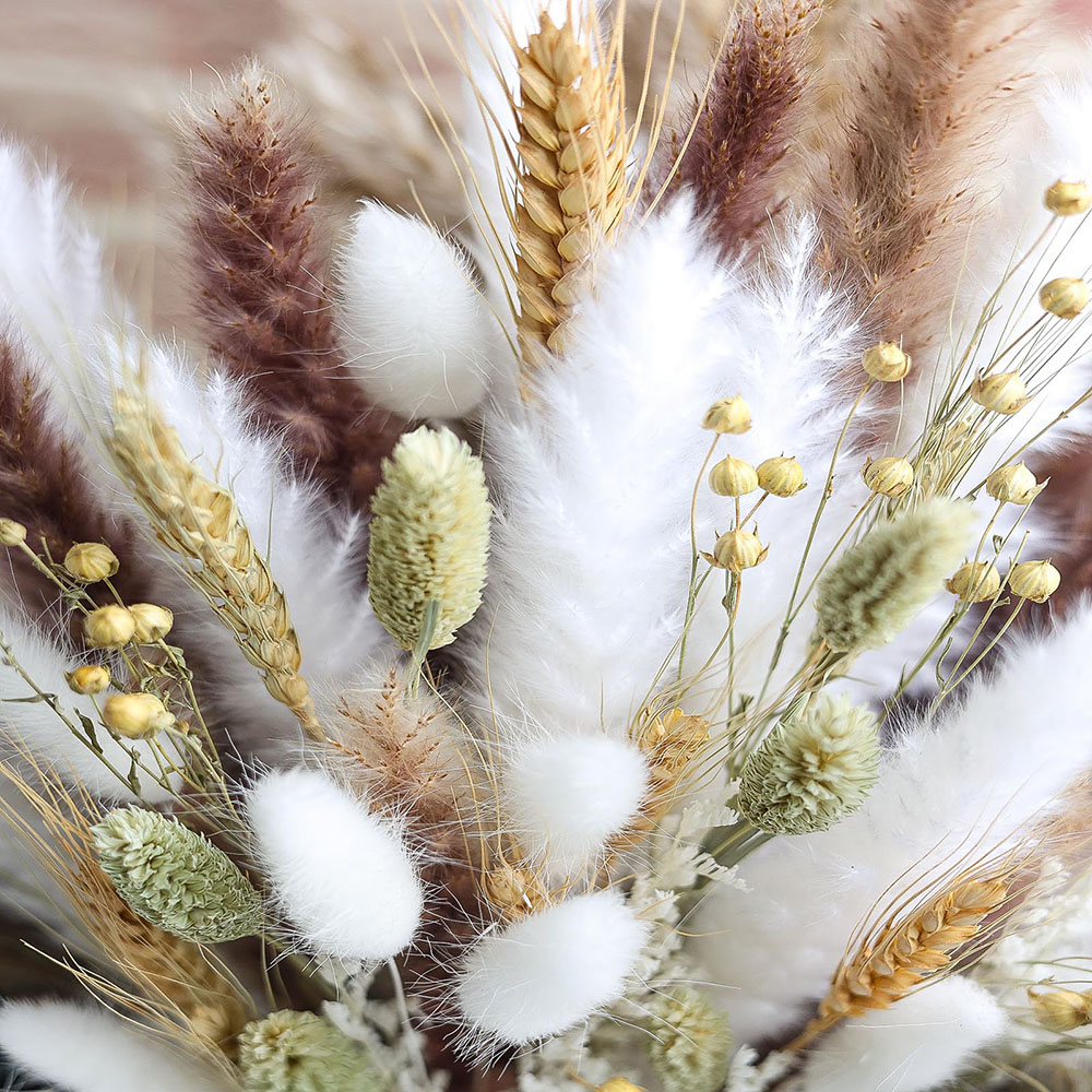 100pcs Dried Pampas Grass Bouq - đánh giá và giá Pampas Grass Decor