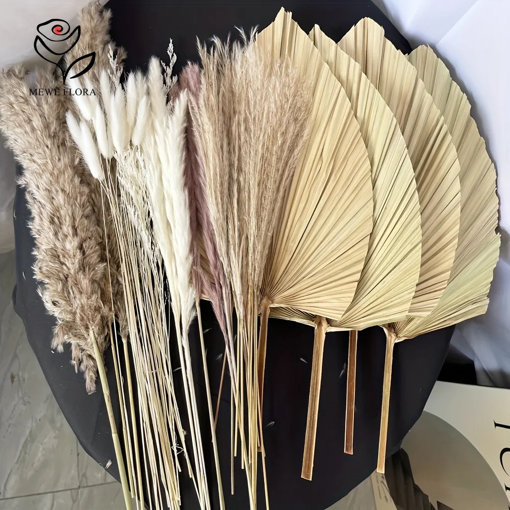 35Pcs Natural Pampas Grass Boh - đánh giá và giá Pampas Grass Decor