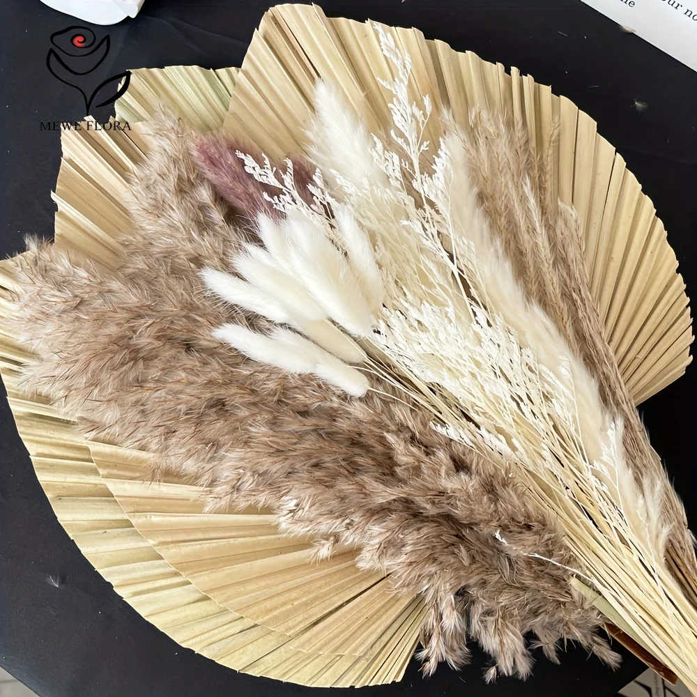 35Pcs Natural Pampas Grass Boh - đánh giá và giá Pampas Grass Decor