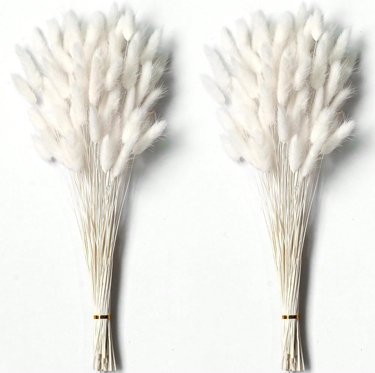 120 PCS Dried Pampas Grass Dec - đánh giá và giá Pampas Grass Decor