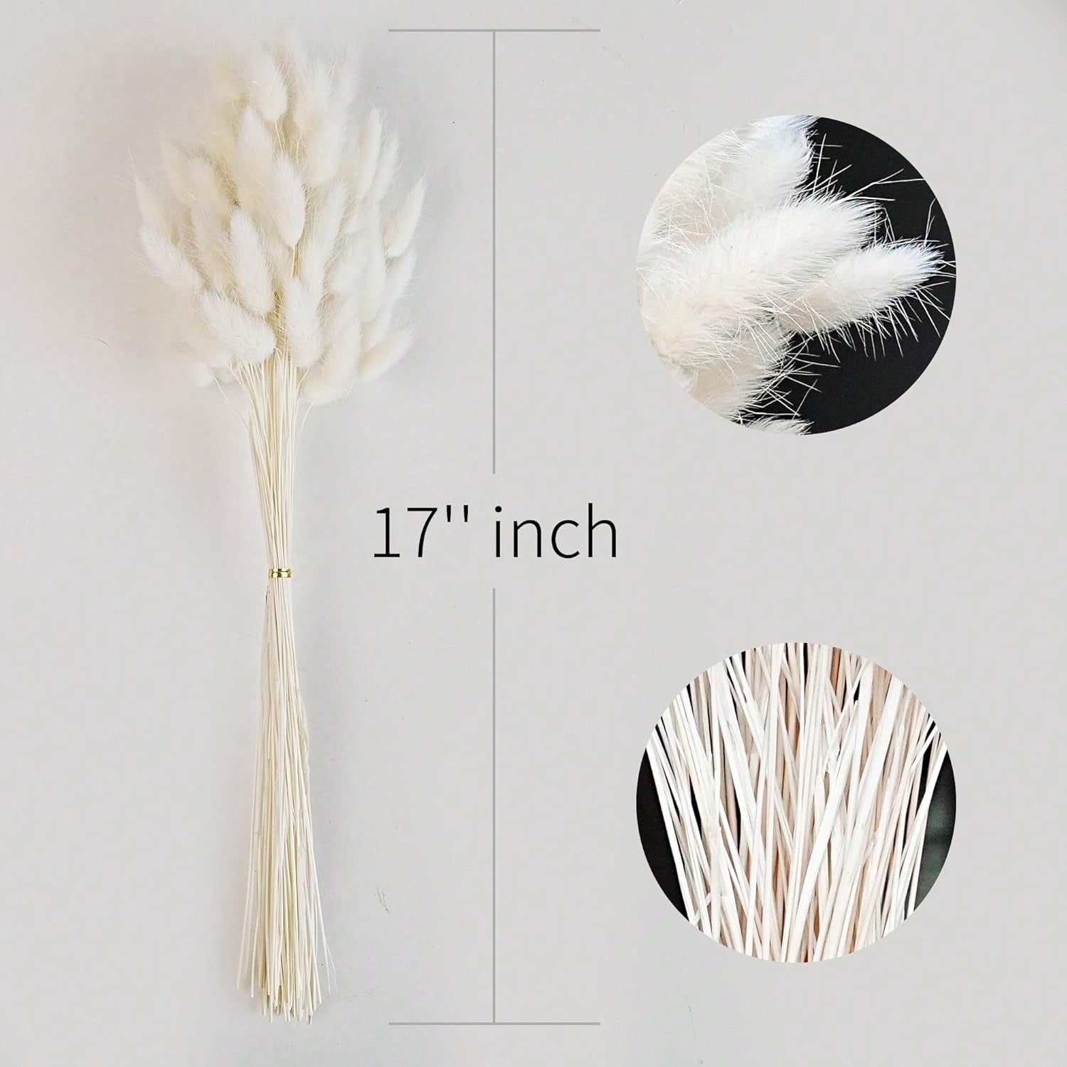 120 PCS Dried Pampas Grass Dec - đánh giá và giá Pampas Grass Decor