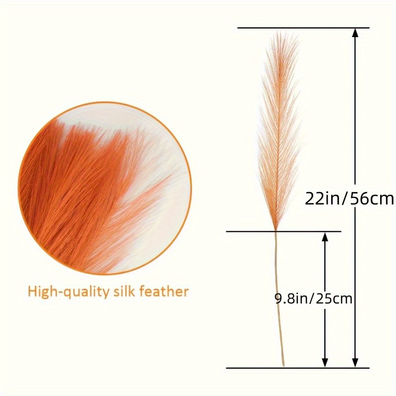 10pcs Vivid Orange Pampas Gras - đánh giá và giá Pampas Grass Decor