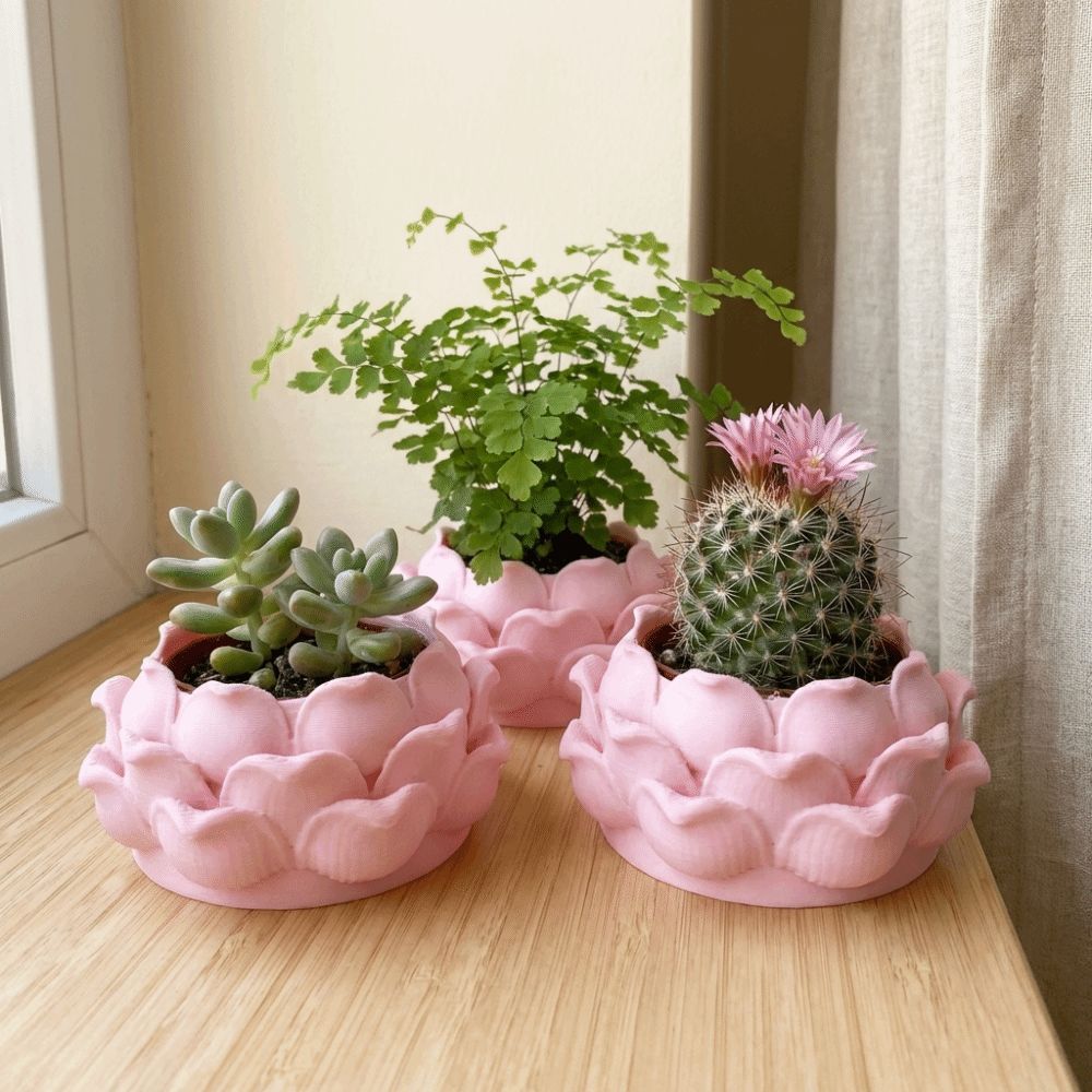 Lotus Shaped Succulent Plant P - đánh giá và giá Rattan Plant Basket