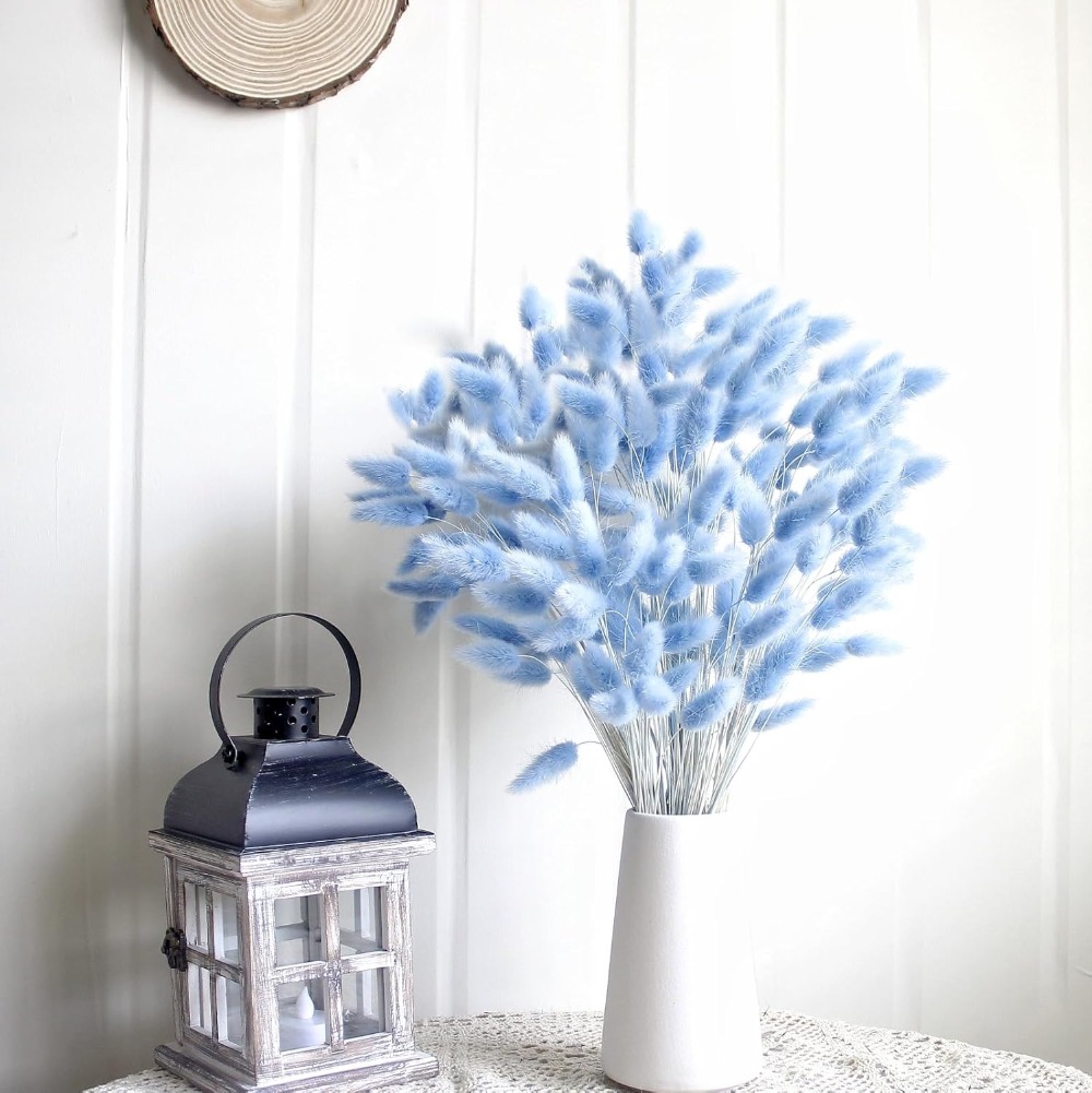 100PCS Blue Hare's-tail Grass  - đánh giá và giá Pampas Grass Decor