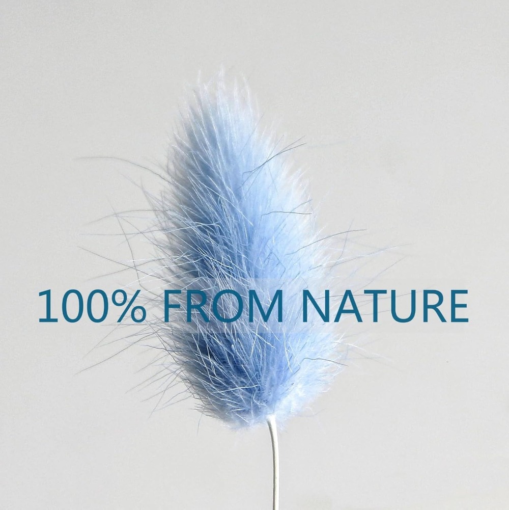 100PCS Blue Hare's-tail Grass  - đánh giá và giá Pampas Grass Decor