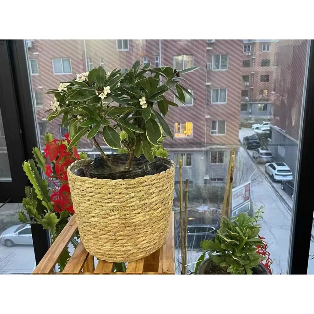 1Pcs For Garden Terraces Flowe - đánh giá và giá Rattan Plant Basket